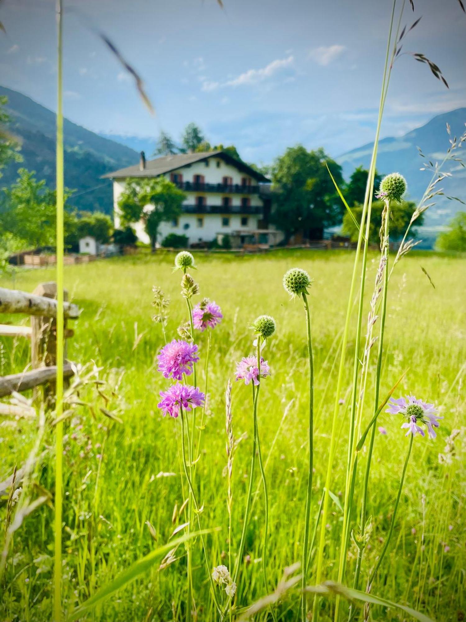Plasur - Apartement Bella Vista Montechiaro Lichtenberg 外观 照片