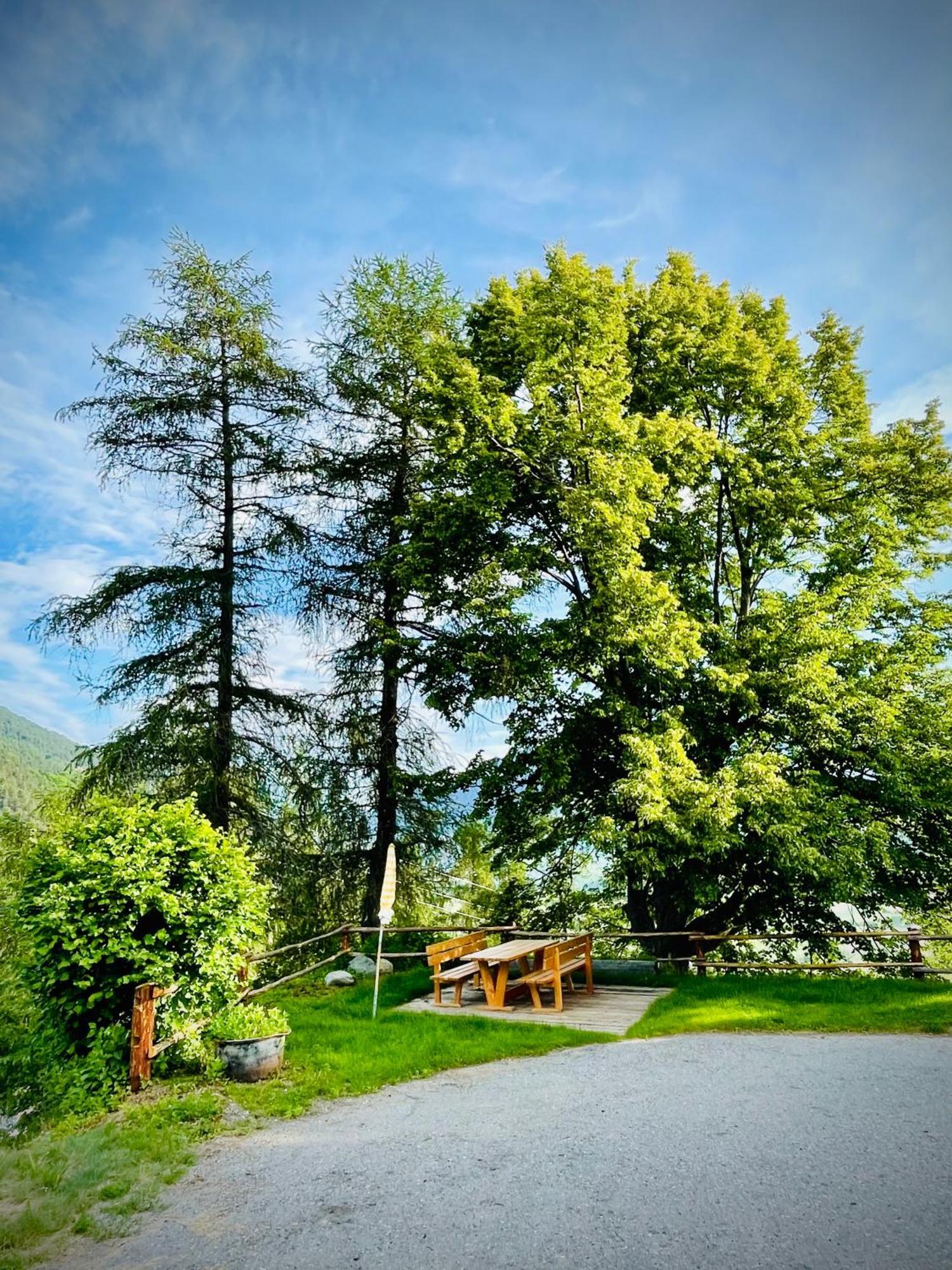 Plasur - Apartement Bella Vista Montechiaro Lichtenberg 外观 照片
